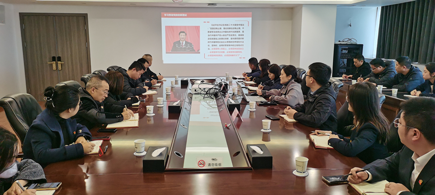 集團(tuán)黨委委員、副總經(jīng)理賀維維同志講授專題黨課